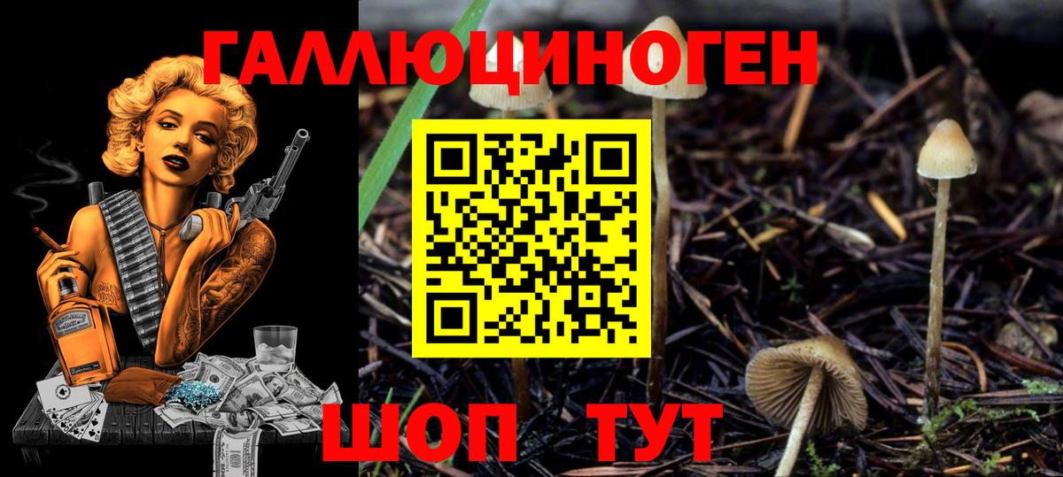 Братск  Псилоцибиновые грибы ЛСД  Псилоцибиновые грибы Magic Shrooms  даркнет сайт  Вход с VPN 