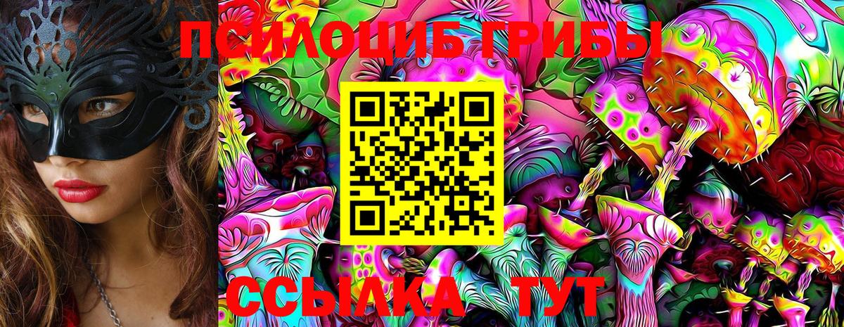 Псилоцибиновые грибы ЛСД Братск
